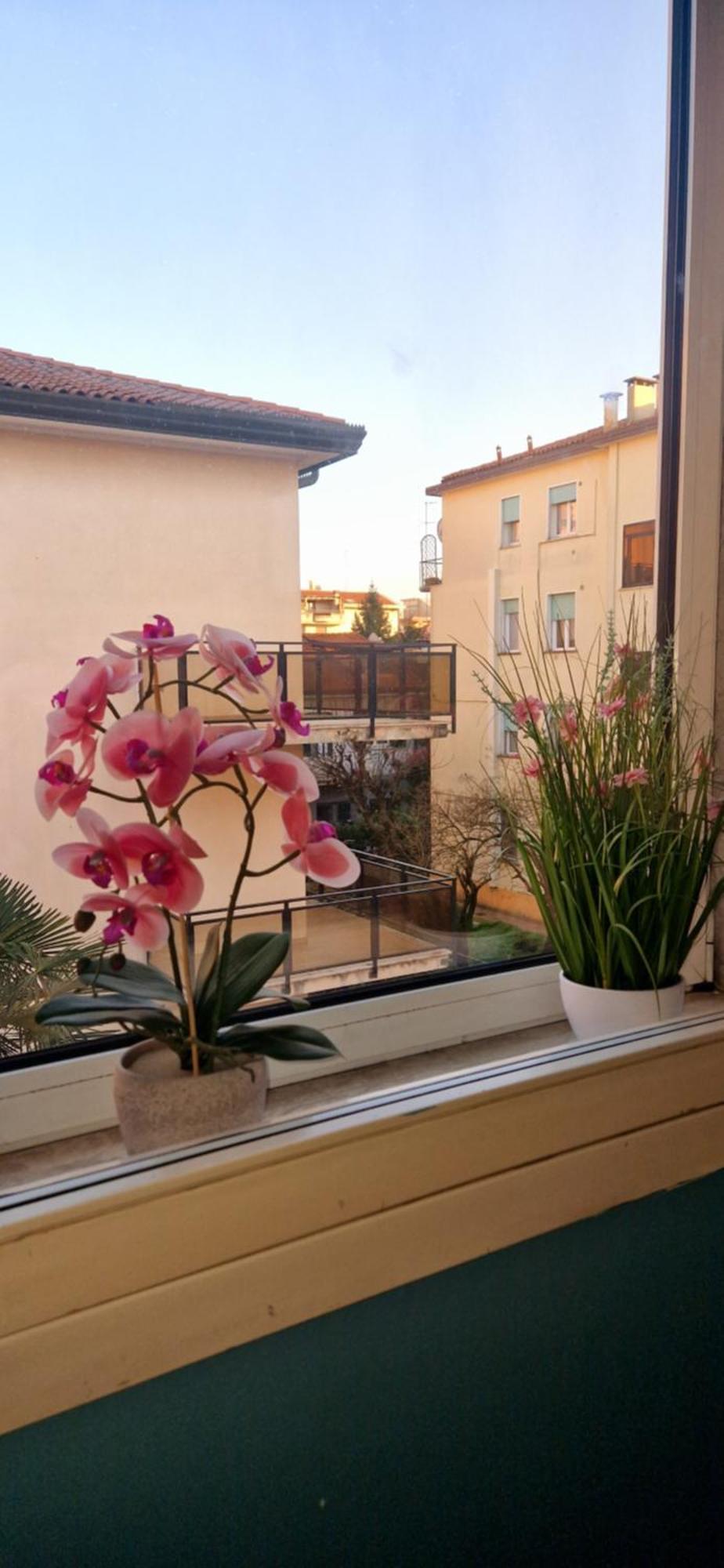 Hotel Tito 3*